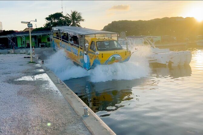 Splashy Iguana Tour in Curacao - Key Points
