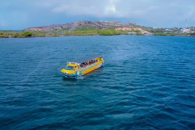 Splashy Iguana Tour in Curacao - An In-Depth Look at the Splashy Iguana Tour