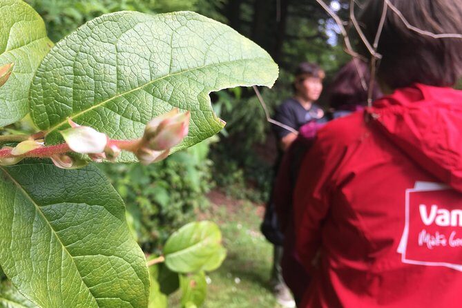 Spoken Treasures: Stanley Park Indigenous Walking Tour - Who Will Enjoy This Tour?