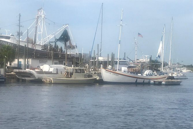 Sponge Dock Stroll - Why This Tour Shines