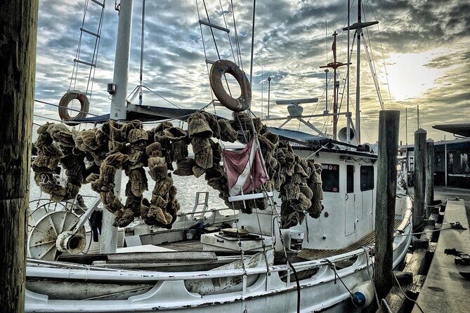 Sponge Dock Stroll - Final Thoughts
