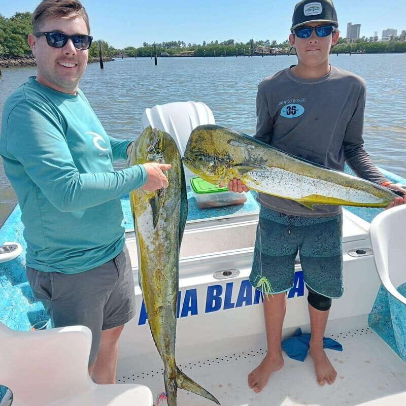 Sport fishing in mazatlan - A Closer Look at the Mazatlan Sport Fishing Experience