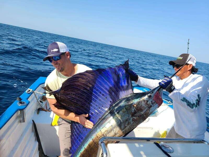 Sport fishing in mazatlan - Final thoughts