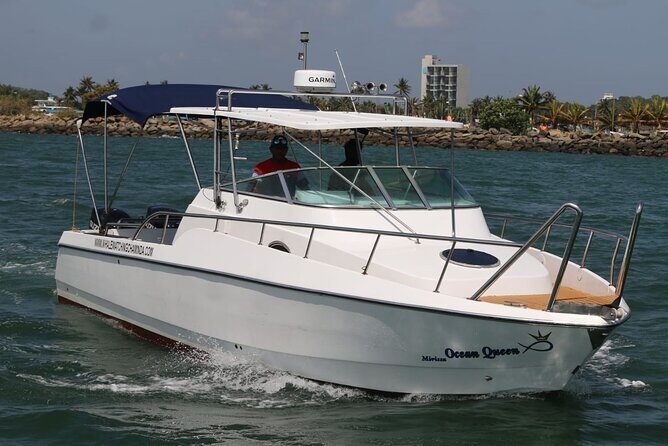 Sports Boat- Private Whale Watching Trip( free breakfast & paid pick-up) - An Introduction to the Experience