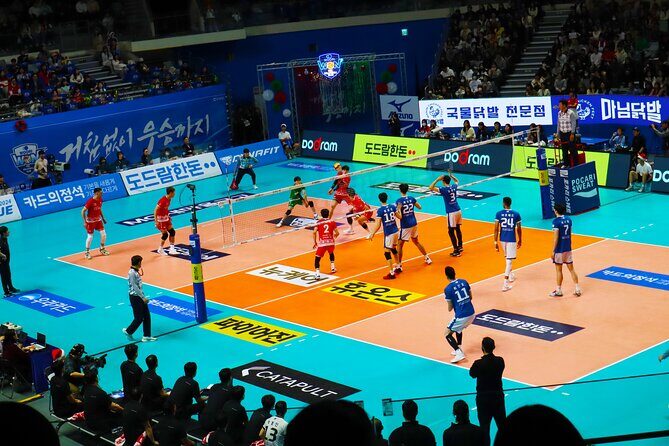 Sports Match in Seoul with Guided K-Food Experience - Authentic Experiences from Travelers