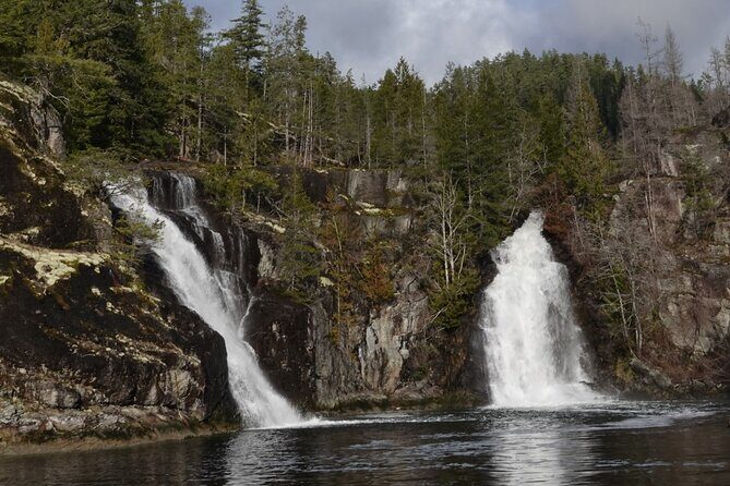 Spring Bear and Waterfall Tour - A Detailed Look at the Spring Bear and Waterfall Tour on Vancouver Island