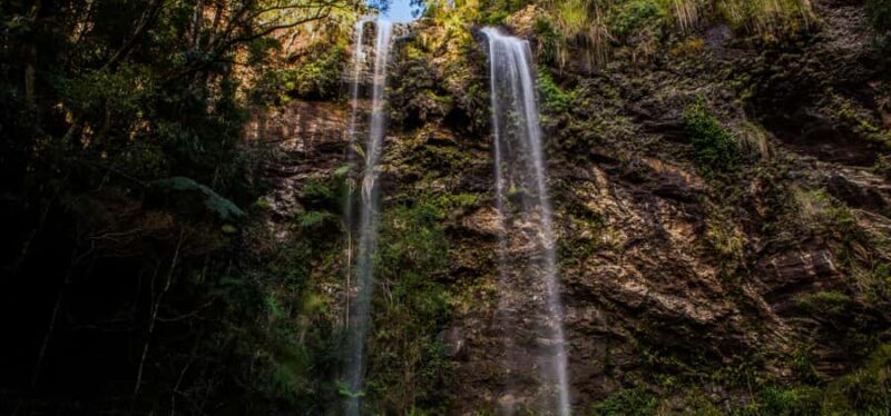 Spring Brook National Park Driving Tour with an APP - A Personal Look at the Springbrook Self-Guided Tour