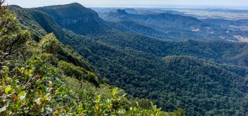 Spring Brook National Park Driving Tour with an APP - Why This Tour Works Well
