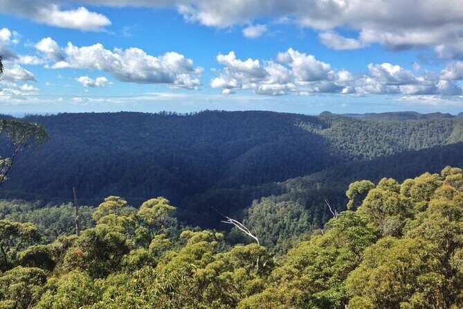 Spring Brook National Park Self Guided Driving Tour - An In-Depth Look at the Self-Guided Drive Through Springbrook