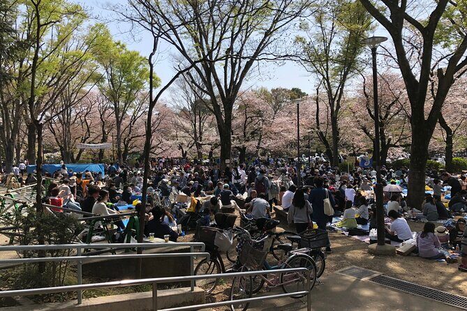 Spring in Kichijoji Discover Cherry Blossoms at Inokashira Park - Introduction: What Makes This Tour Special?