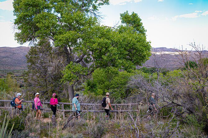 Spring Mountain Ranch Hike with Happy Hour Drinks - Key Points