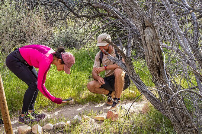 Spring Mountain Ranch Hike with Happy Hour Drinks - FAQ