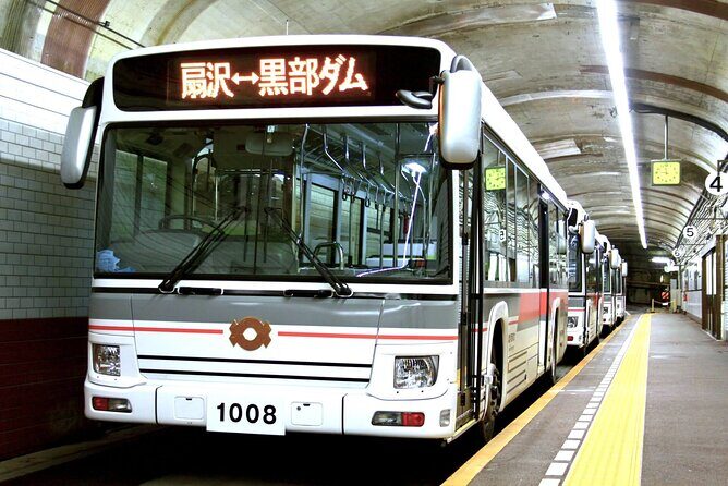 (Spring Only) 1-Day Snow Walls of Tateyama-Kurobe Alpine Route Tour - Who Should Consider This Tour?