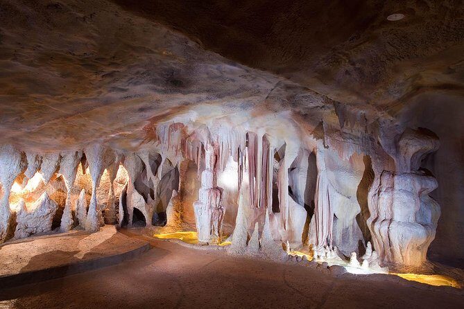 Springbrook andTamborine Rainforest Tour Incl Natural Bridge and Glow Worm Cave - The Sum Up