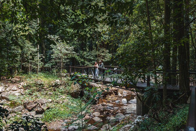 Springbrook andTamborine Rainforest Tour Incl Natural Bridge and Glow Worm Cave - FAQ