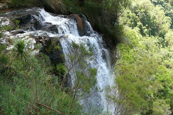 Springbrook, Natural Arch & Numinbah Valley + Hot Air Balloon with Breakfast - Numinbah Valley and Scenic Overlooks