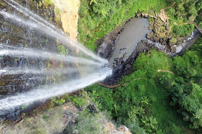 Springbrook Waterfalls & Natural Bridge Tour from Gold Coast - Analyzing the Value: Is It Worth It?