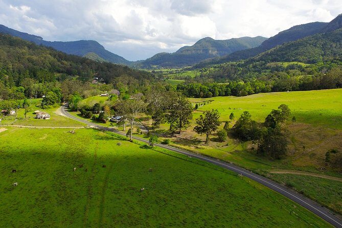 Springbrook Waterfalls & Natural Bridge Tour from Gold Coast - Who Will Enjoy This Tour?