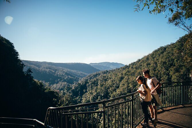 Springbrook Waterfalls & Natural Bridge Tour from Gold Coast - The Sum Up: Is It Worth Your Time?