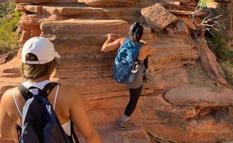 Springdale: Angels Landing Summit Guided Hike with Permit - The Sum Up