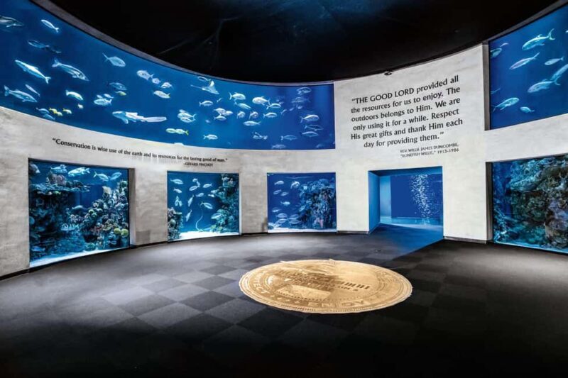 Springfield: Wonders of Wildlife National Museum & Aquarium - Key Points