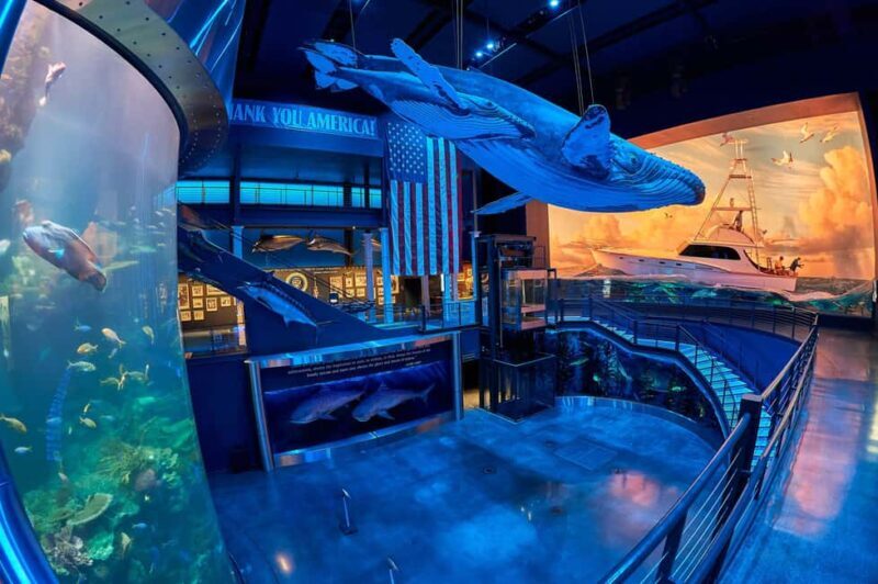 Springfield: Wonders of Wildlife National Museum & Aquarium - What You Can Expect at Wonders of Wildlife