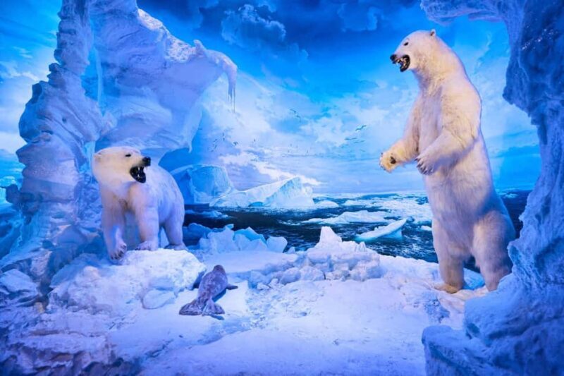 Springfield: Wonders of Wildlife National Museum & Aquarium - The Sum Up: Is Wonders of Wildlife Worth It?