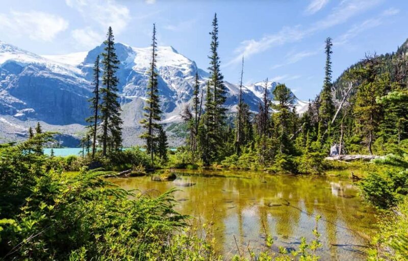 Squamish-Lillooet: Joffre Lakes Guided Hike - What You Can Expect from the Joffre Lakes Guided Hike