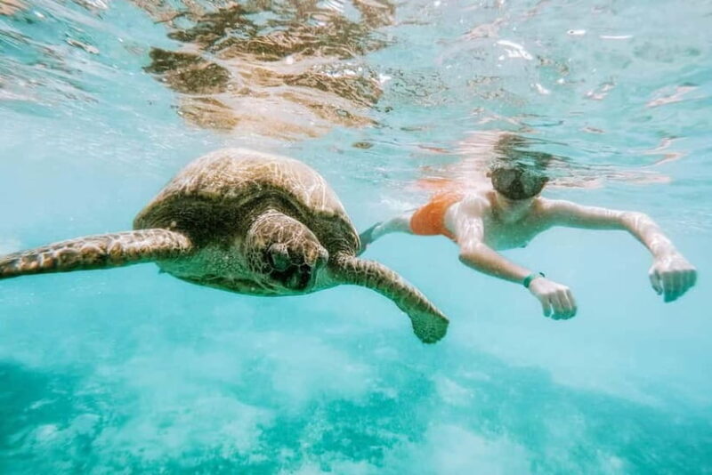 Sri Lanka: 10-Day Private Tour with 4*, Half-Board Hotels - Frequently Asked Questions