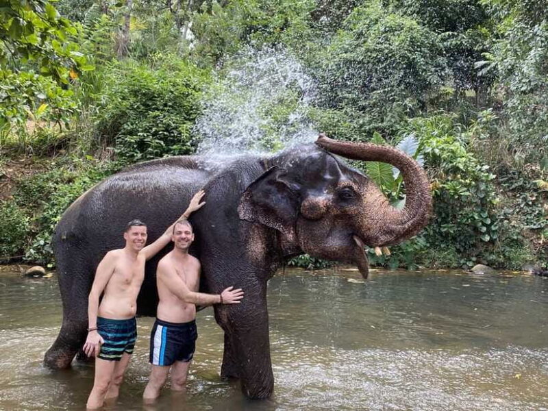 Sri Lanka: 10-Days Private Guided Tour - Exploring Nuwara Eliya and Ella: Tea and Waterfalls