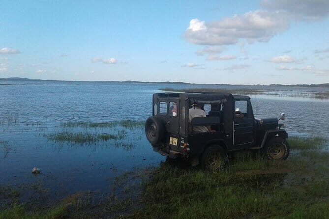 Sri Lanka 11 Days with Driver and Vehicle (Customizable) - A Deep Dive into the Experience