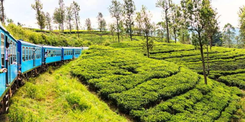 Sri Lanka: 2-Day wildlife tour; rainforest and National park - Key Points