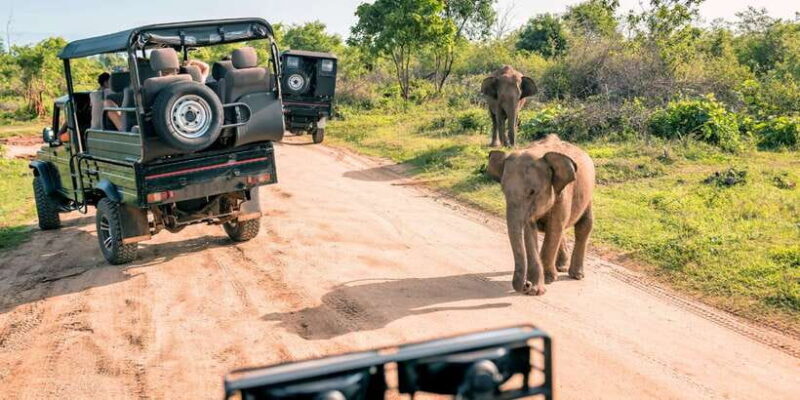 Sri Lanka: 2-Day wildlife tour; rainforest and National park - The Itinerary Breakdown: What to Expect