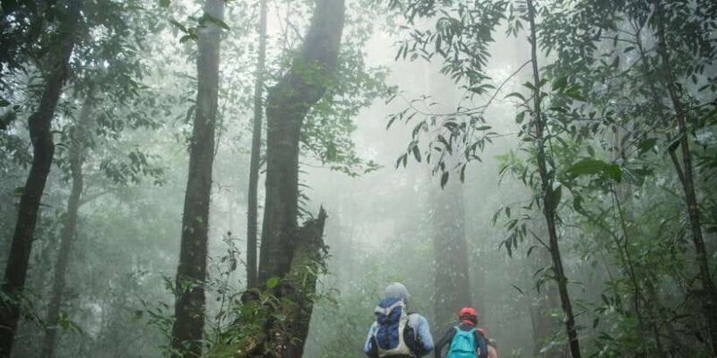 Sri Lanka: 2-Day wildlife tour; rainforest and National park - The Experience for Different Travelers