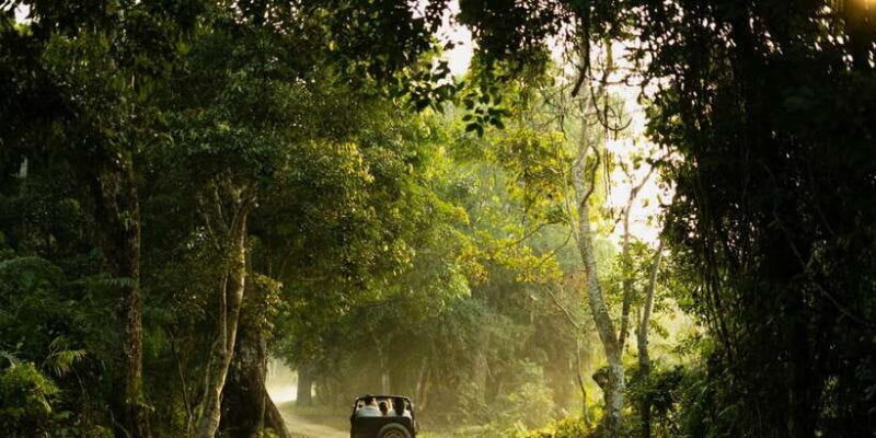 Sri Lanka: 2-Day wildlife tour; rainforest and National park - Final Thoughts: Is This Tour for You?