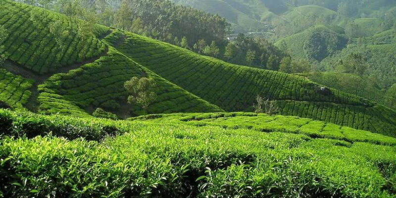 Sri Lanka: 2-Day wildlife tour; rainforest and National park - FAQ