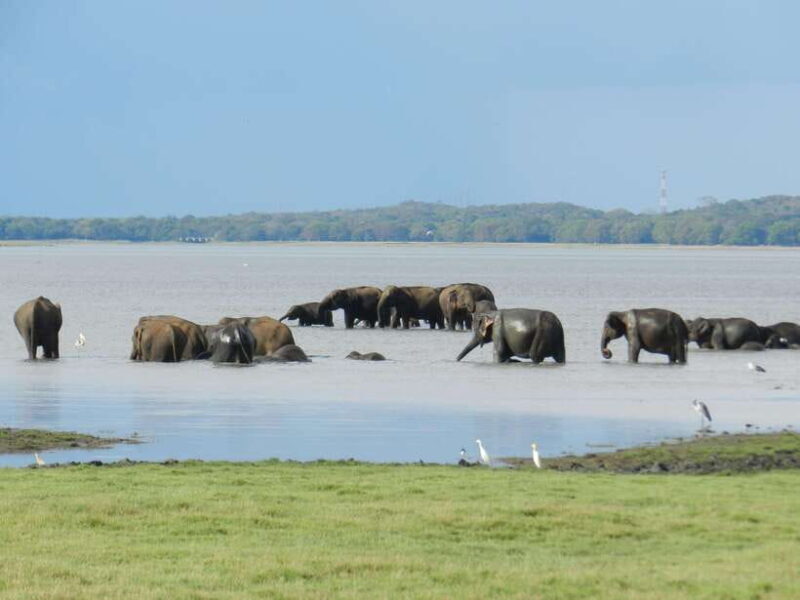 Sri Lanka: 3-Day Cultural Triangle, Hill Country, Train Tour - FAQ