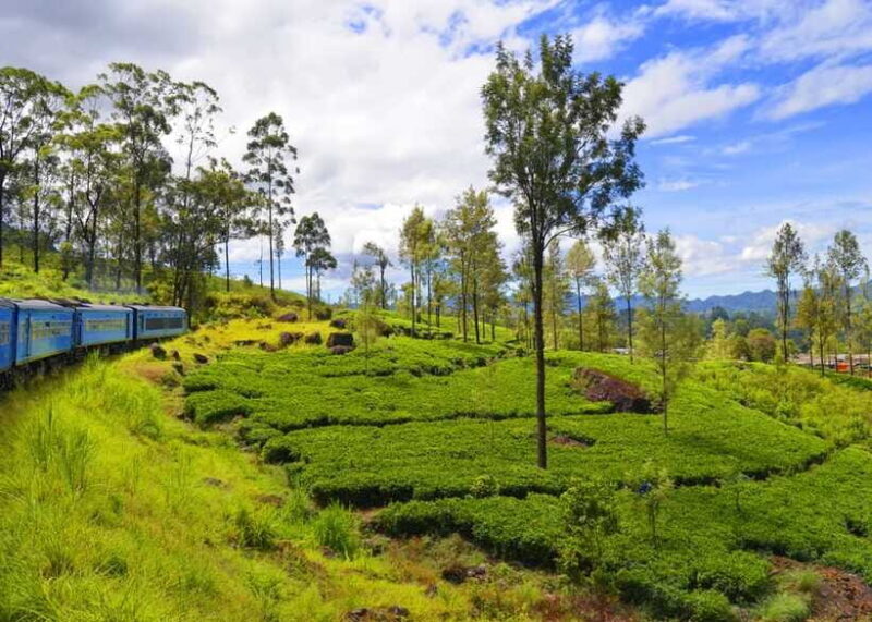 Sri Lanka 3-Day - Sigiriya, Udawalawe, Kandy, Bentota, Ella - Who Would Enjoy This Tour?