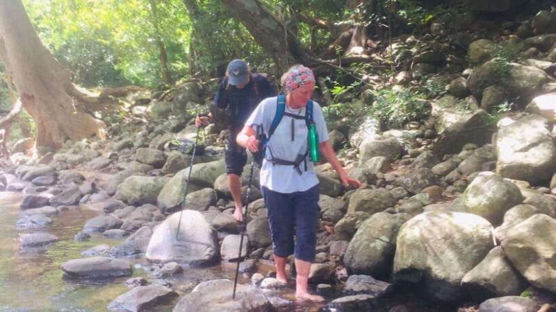 Sri Lanka: 4-day tour Ancient Ruins, Wildlife, Hill Country - Final Thoughts