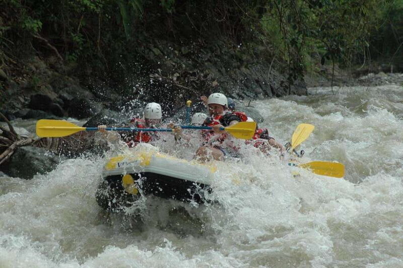 Sri Lanka 4-Day Tour Cultural Triangle, Rafting and Safari - Key Points
