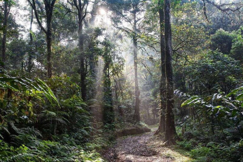 Sri Lanka: 4-Day Tour to Kitulgala, Kandy, and Sigiriya - Final Thoughts: Who Is This Tour Best For?