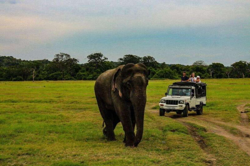 Sri Lanka: 4N5Day guided FULL TOUR with hotel accommodations - The Full Experience: What’s Included and What’s Not