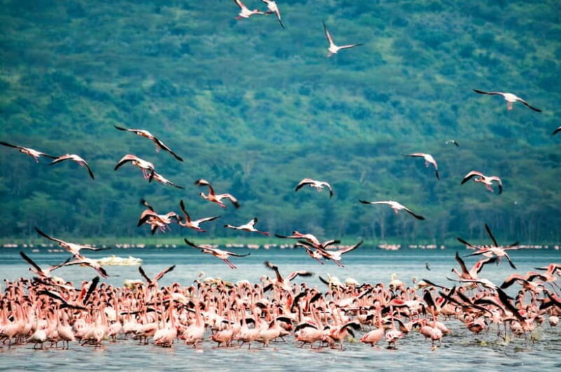 Sri Lanka 5-Day Private Country Side Tour Car, Hotels, Food - Key Points