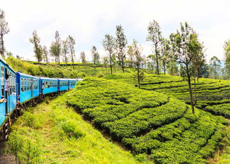 Sri Lanka 5-Day Private Country Side Tour Car, Hotels, Food - The Starting Point: Colombo to Kandy