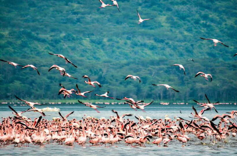 Sri Lanka 5-Day Private Country Side Tour Car, Hotels, Food - Coastal Charm and Historic Galle