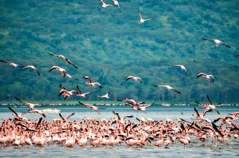 Sri Lanka 5-Day Private Local Experince Tour - Day-by-Day Breakdown: What to Expect