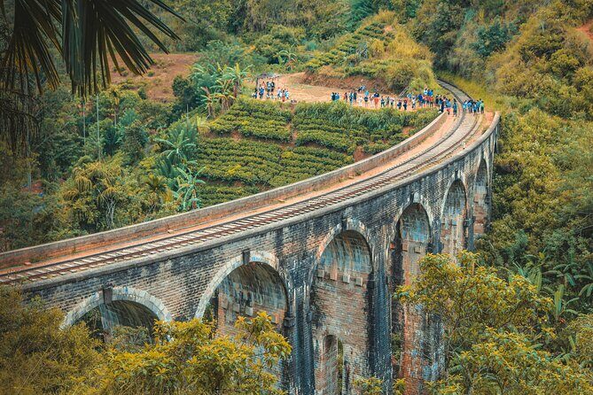 Sri Lanka 5 Day tour Best Nature and Culture include top hotels - The Experience—What Travelers Say