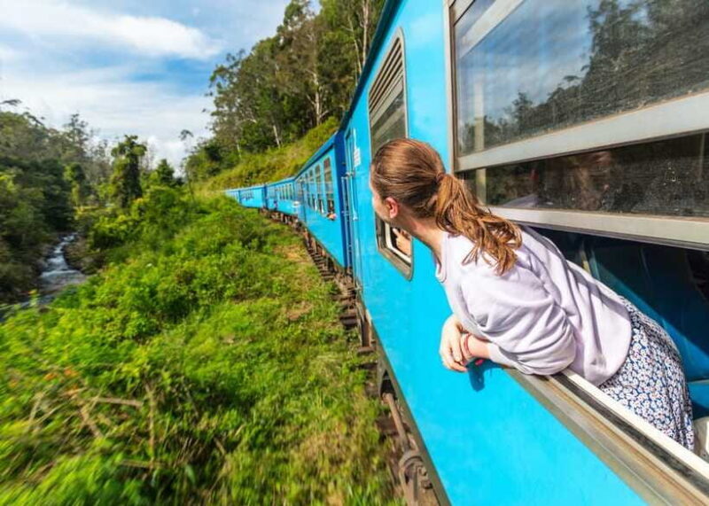 Sri Lanka: 5-Day Tour with Hill Country, Cultural Triangle - What’s Included and What’s Not