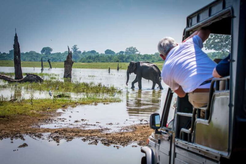 Sri Lanka: 5 Days Multi City Sightseeing Tour - What Sets This Tour Apart?