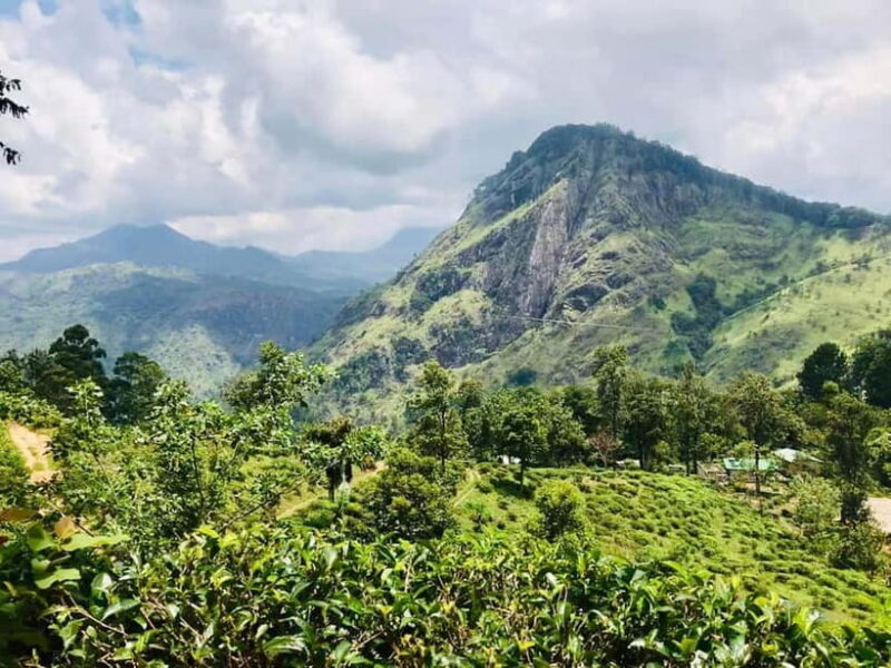 Sri Lanka 5 Days Private Tour with 15 Scenic Places - Final Words